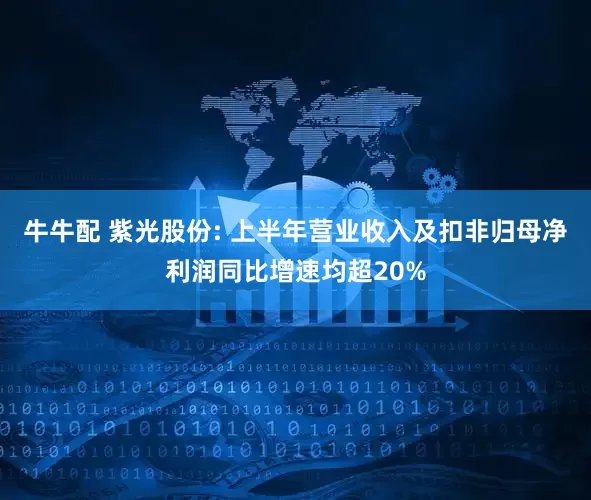 牛牛配 紫光股份: 上半年营业收入及扣非归母净利润同比增速均超20%