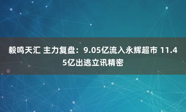 毅鸣天汇 主力复盘：9.05亿流入永辉超市 11.45亿出逃立讯精密