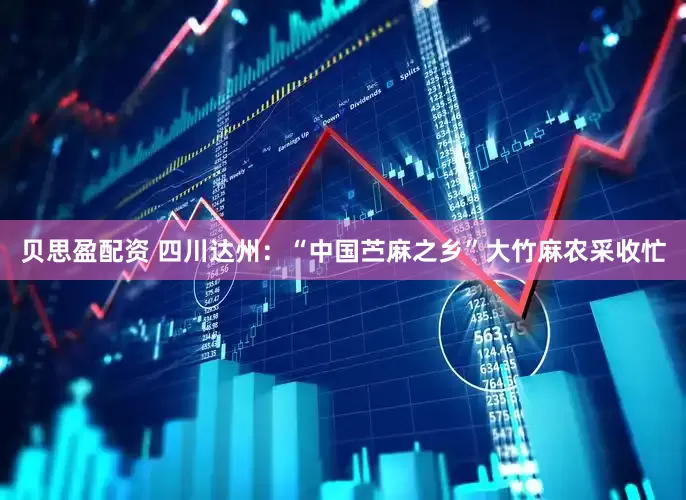 贝思盈配资 四川达州：“中国苎麻之乡”大竹麻农采收忙
